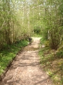 20130501 GOUVETS PATH & FORD BRIDGE 08